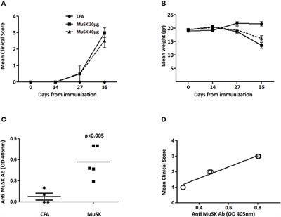 MuSK EAMG: Immunological Characterization and Suppression by Induction of Oral Tolerance